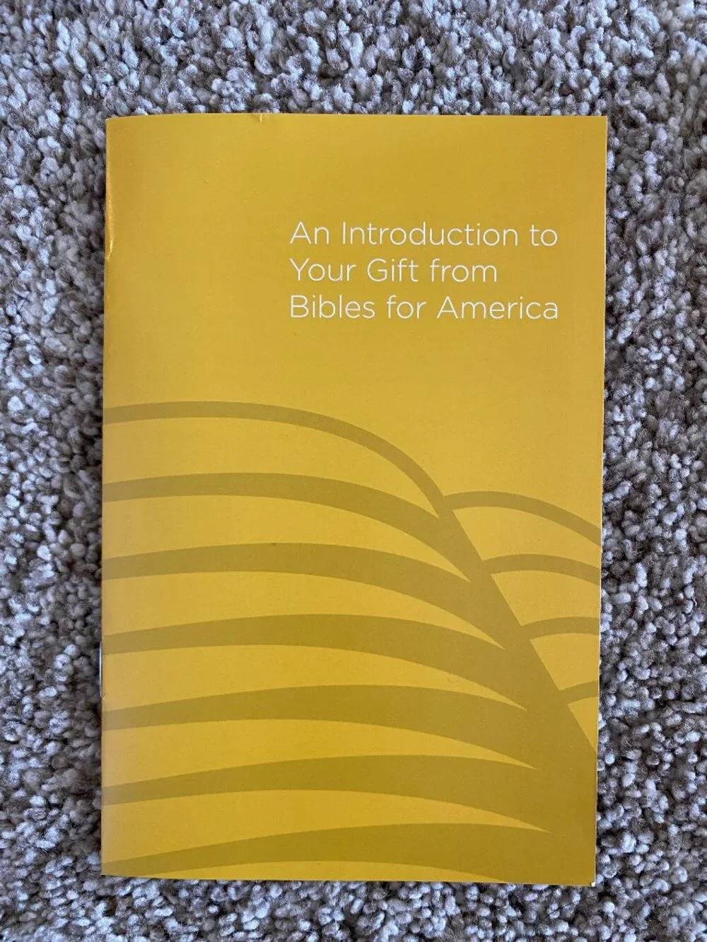 New Testament Recovery Version Bible Living Stream Ministry 1991 Revised Ed.